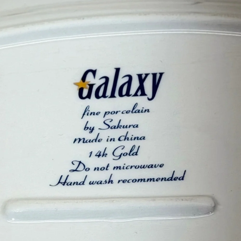 Sakura Galaxy Serving Platter 14